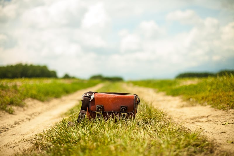 Vegan Leather Handbags