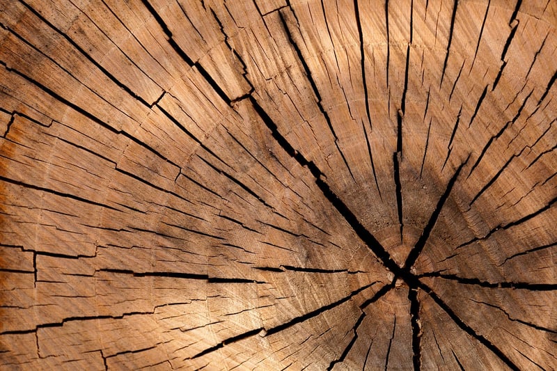 Reclaimed Wood Home Decor